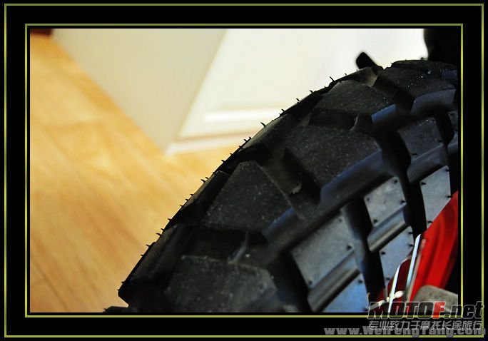nEO_IMG_DSC_8295[1].jpg