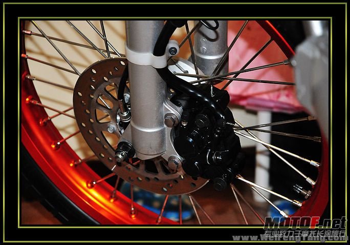 nEO_IMG_DSC_8300[1].jpg