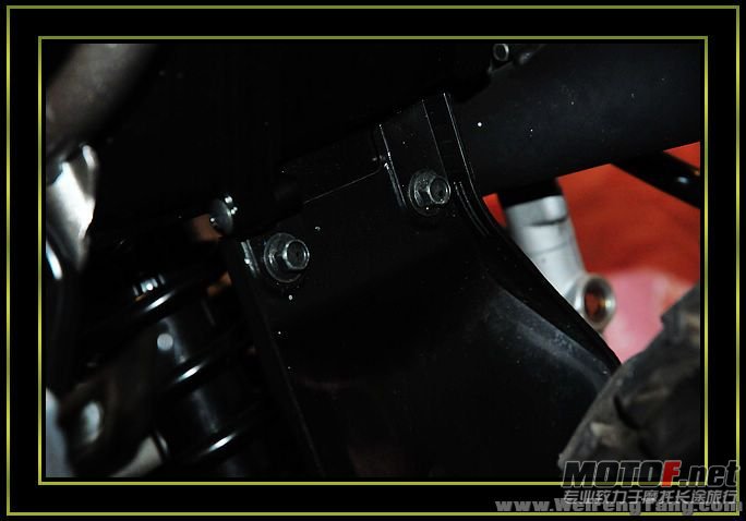 nEO_IMG_DSC_8303[1].jpg