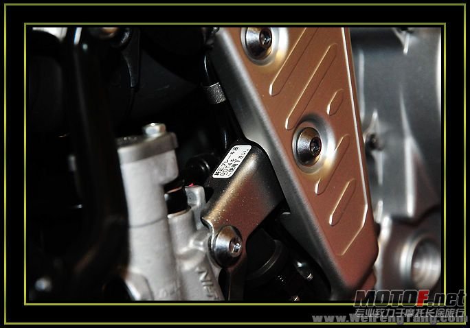 nEO_IMG_DSC_8308[1].jpg