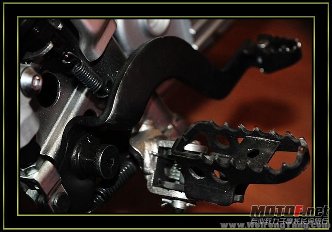 nEO_IMG_DSC_8309[1].jpg