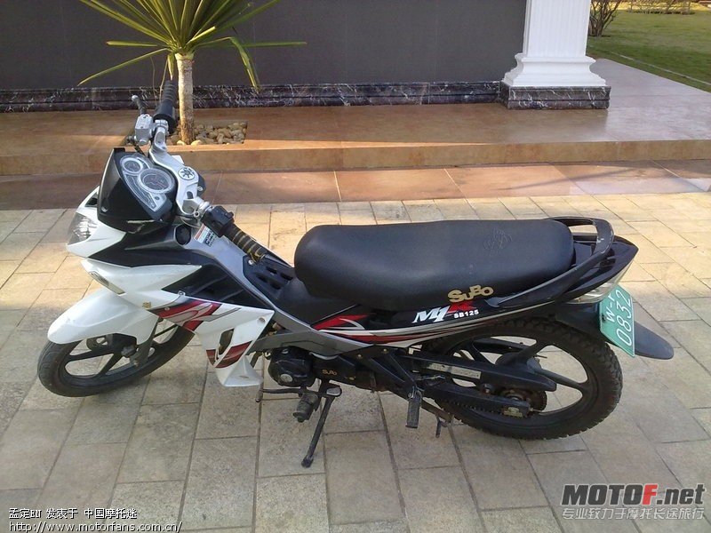 d3jipzNJA9507.jpg