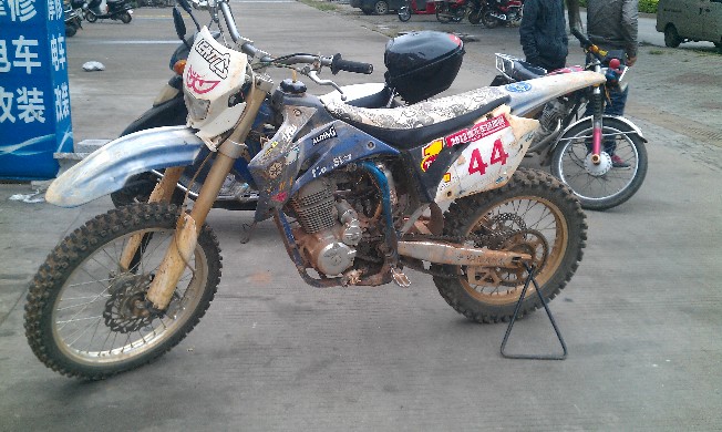 BigBull_IMAG0891.jpg