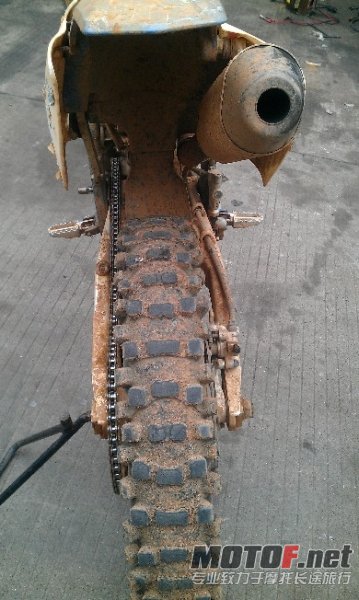 BigBull_IMAG0892.jpg