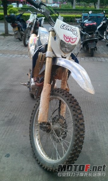 BigBull_IMAG0893.jpg