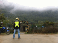 摇屁版
