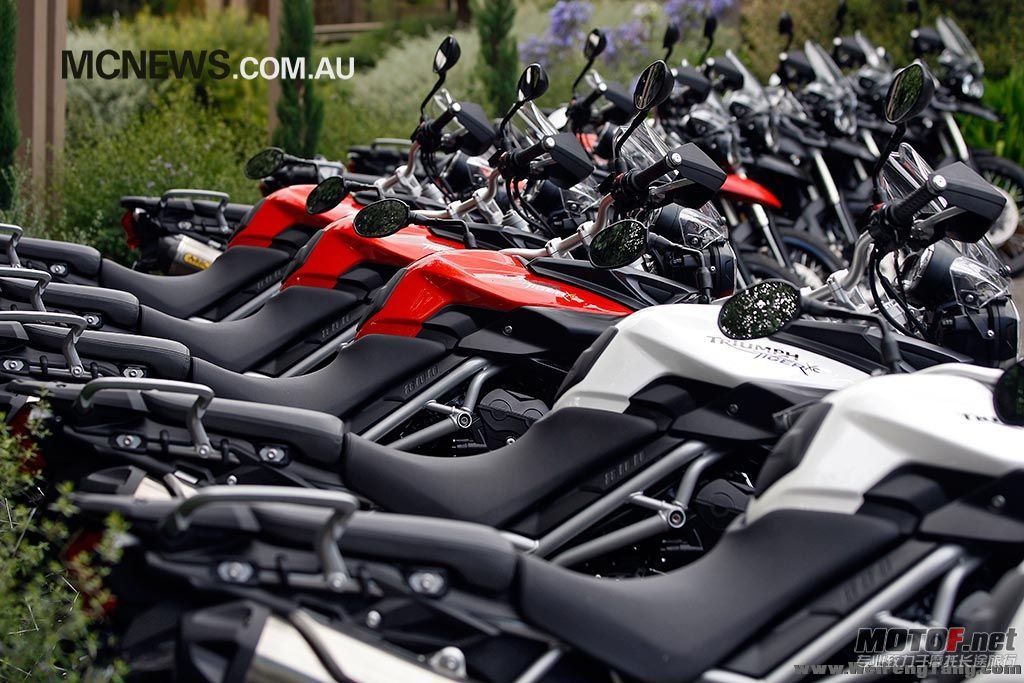 Tiger800XC075[1].jpg