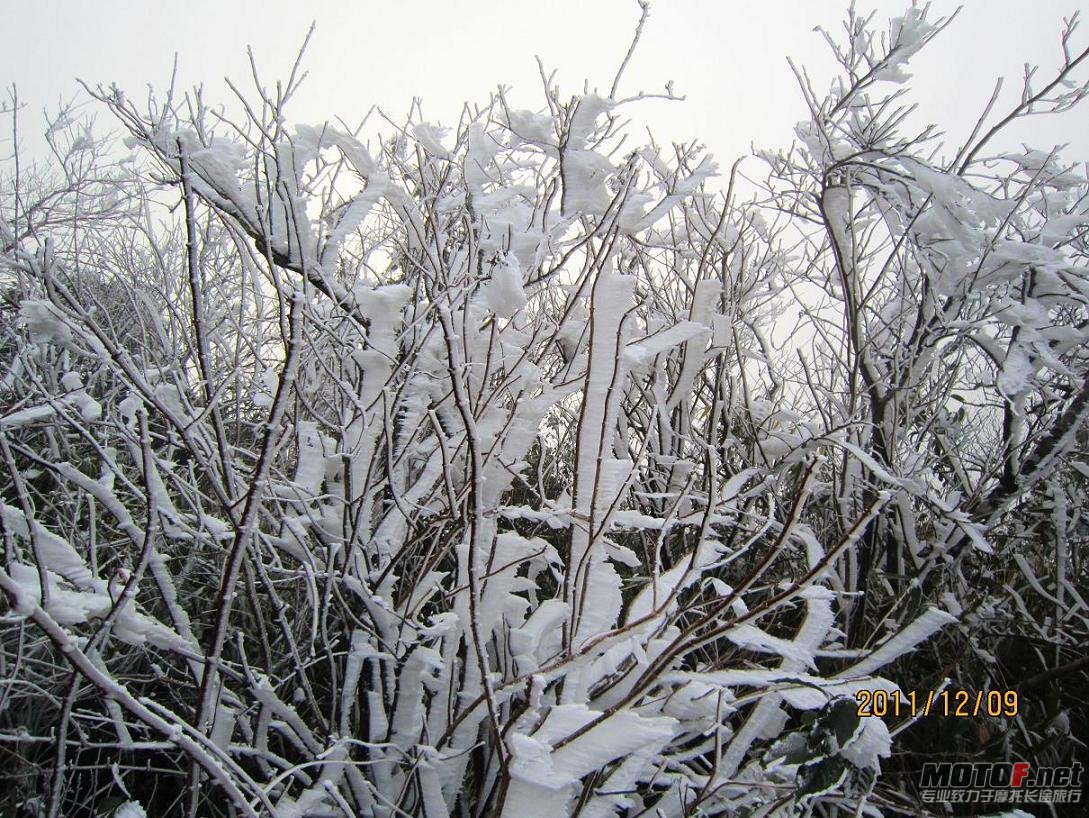 复件 IMG_0203.JPG
