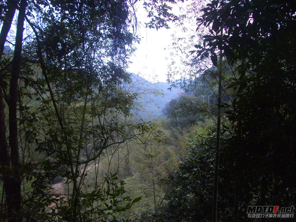 晨运.jpg