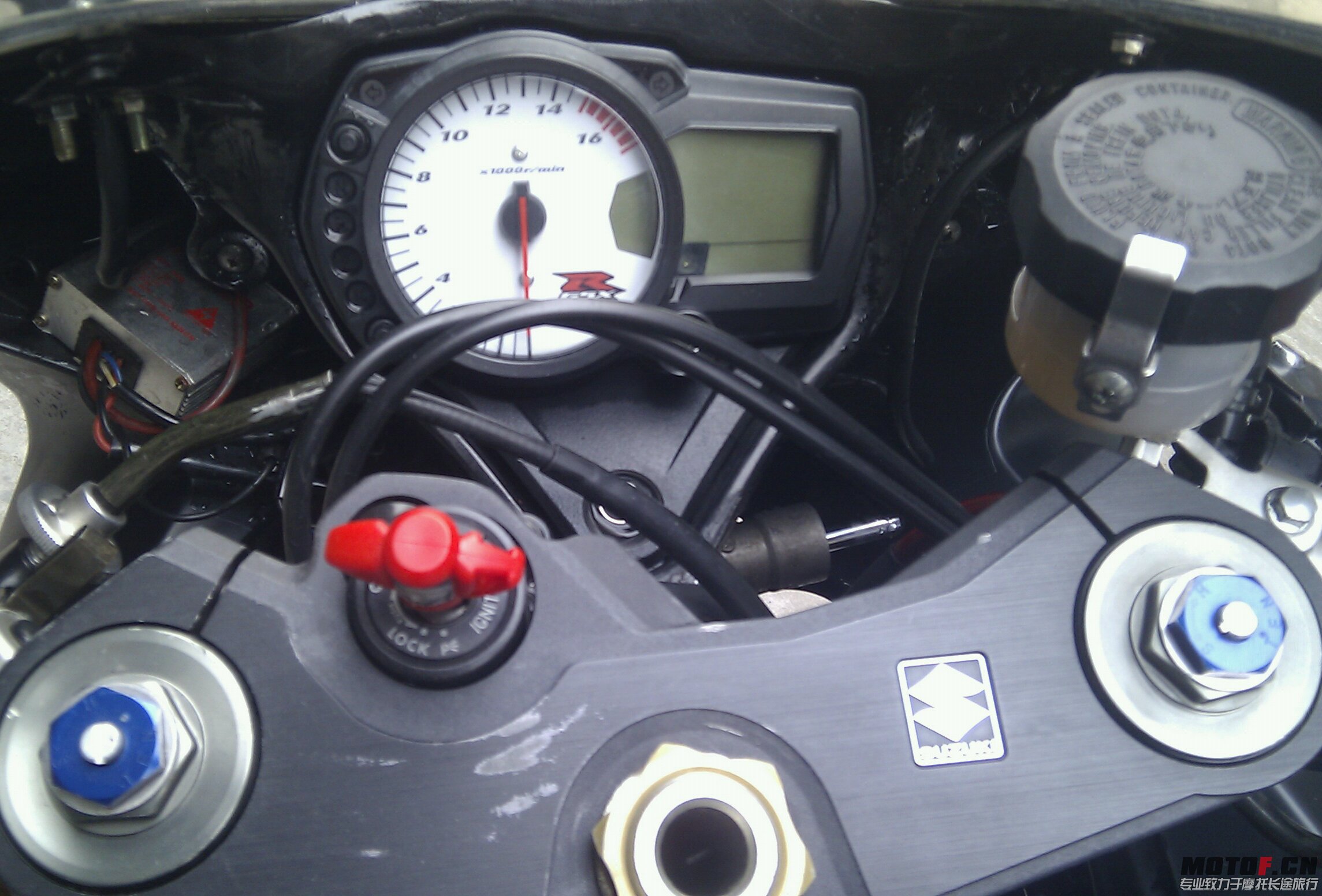 IMAG0031-1.jpg