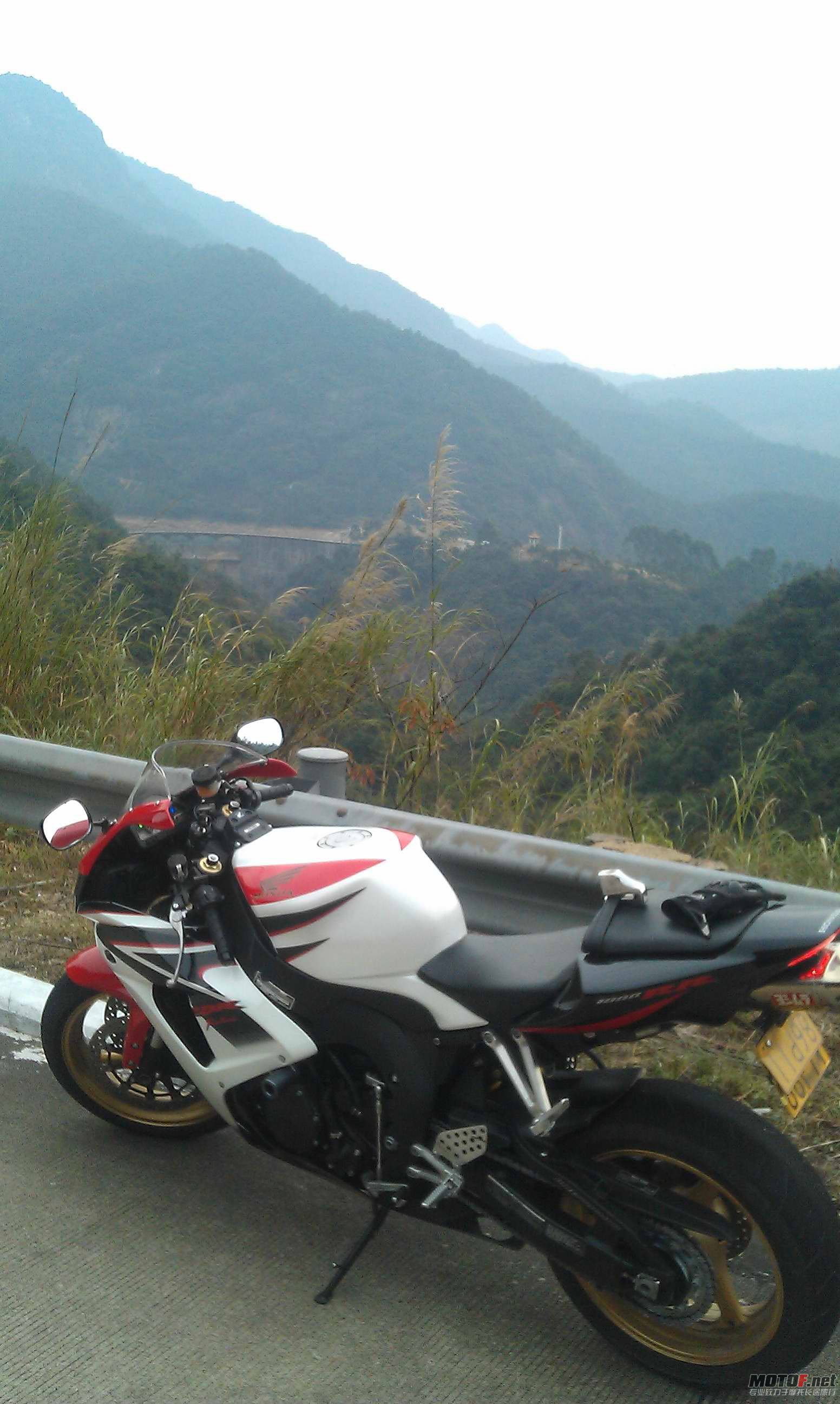 IMAG1242.jpg
