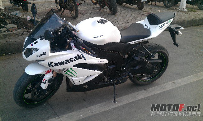 BigBull_IMAG0954.jpg