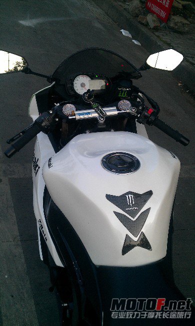 BigBull_IMAG0958.jpg