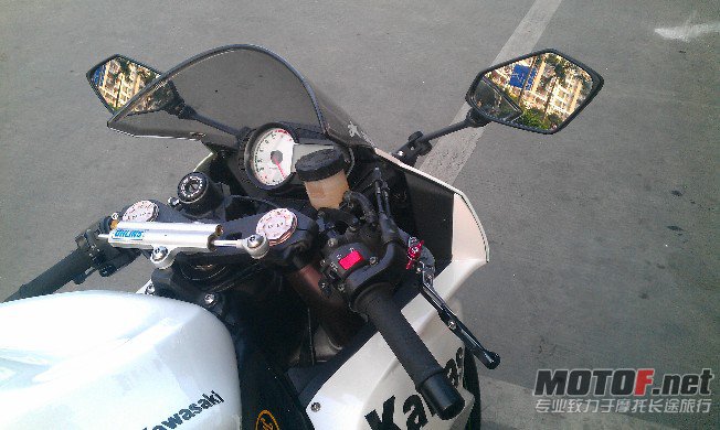 BigBull_IMAG0965.jpg