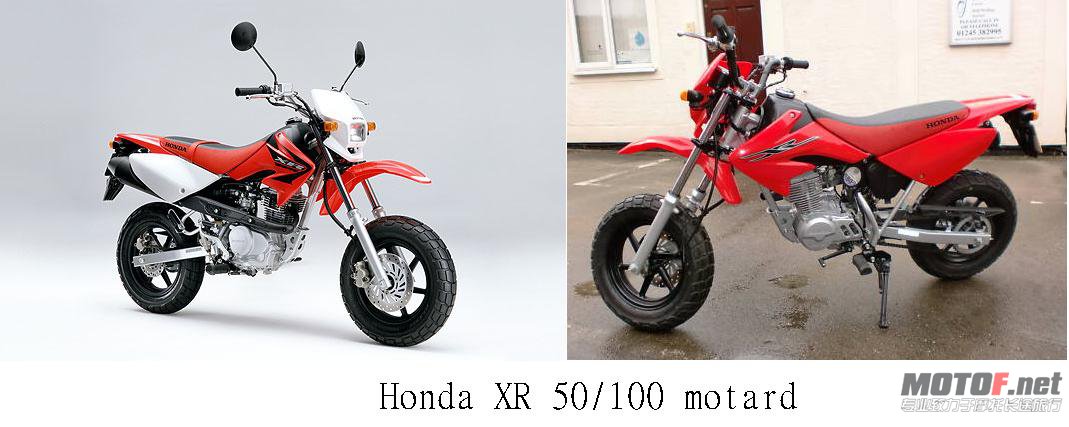 xr100.jpg
