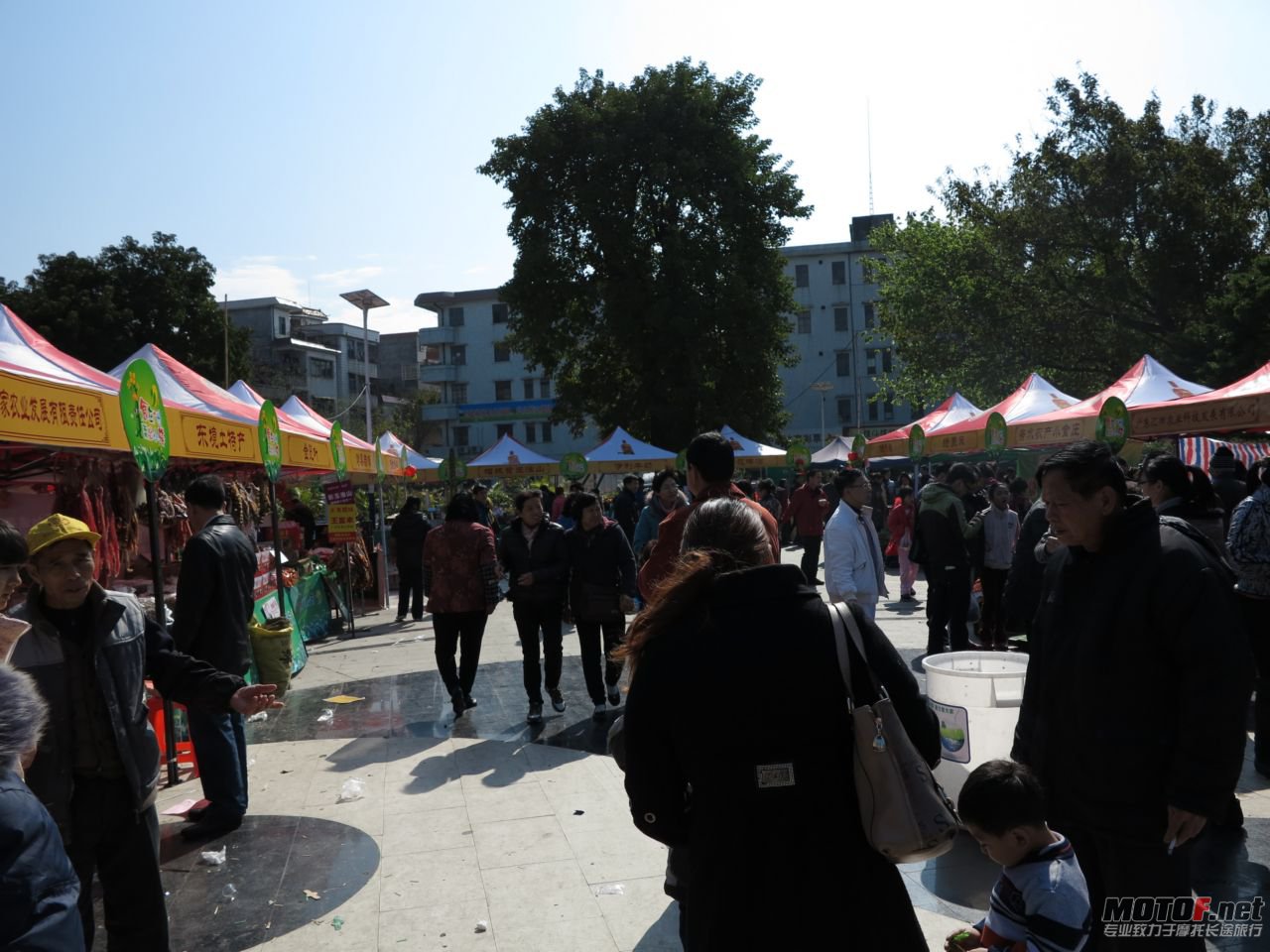 IMG_1251.jpg