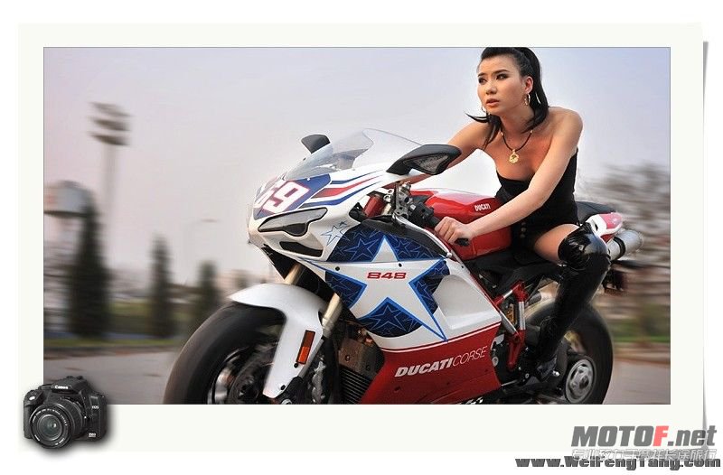 7085519_0800[1].jpg
