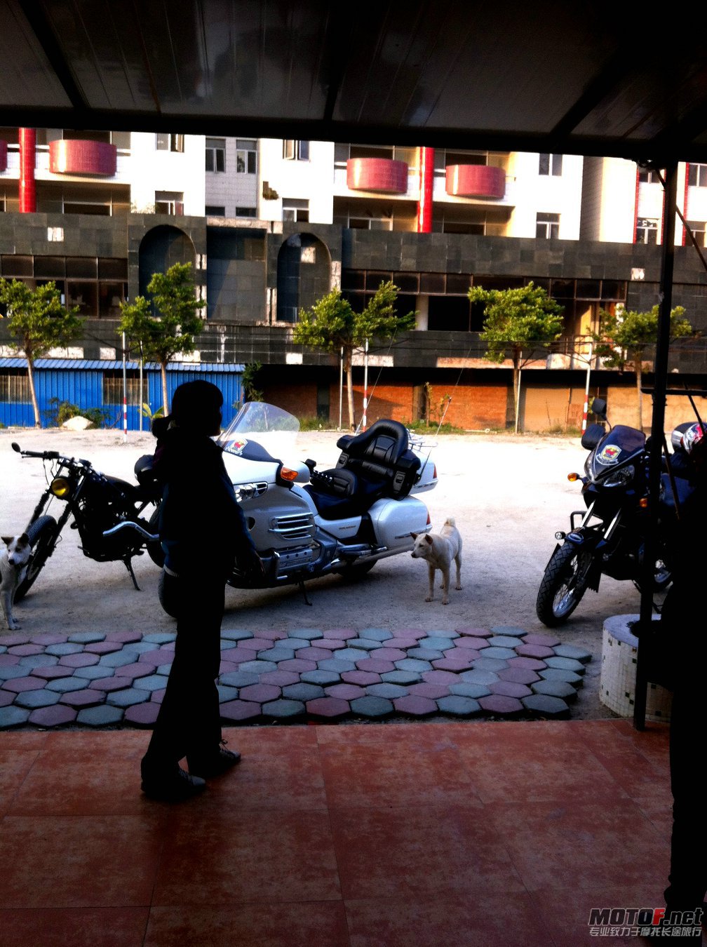 IMG_6344_副本.jpg