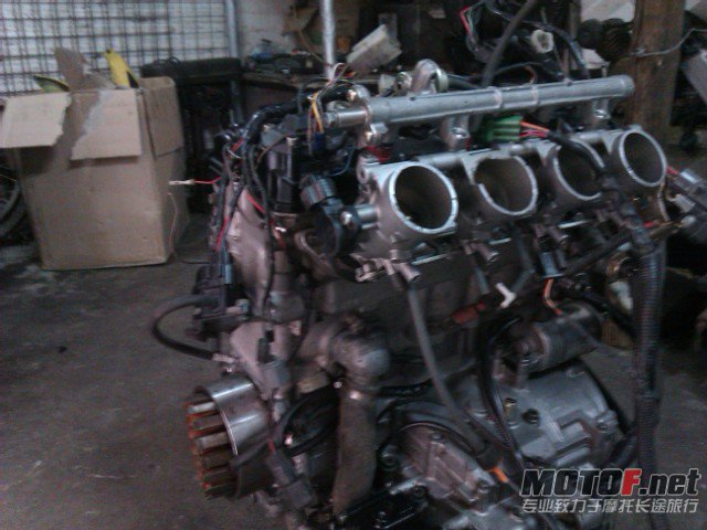 IMAG0587.jpg