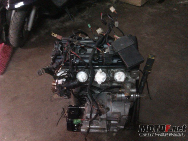 IMAG0586.jpg