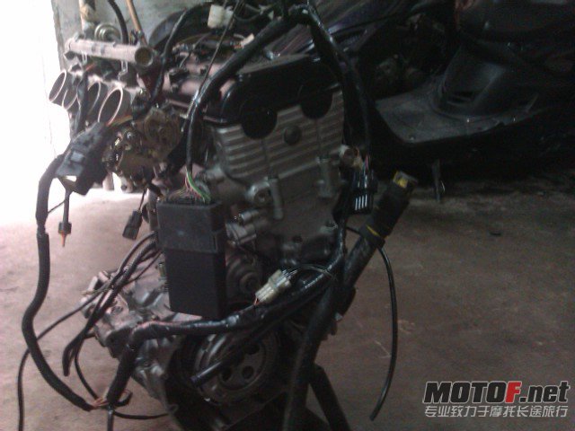 IMAG0588.jpg