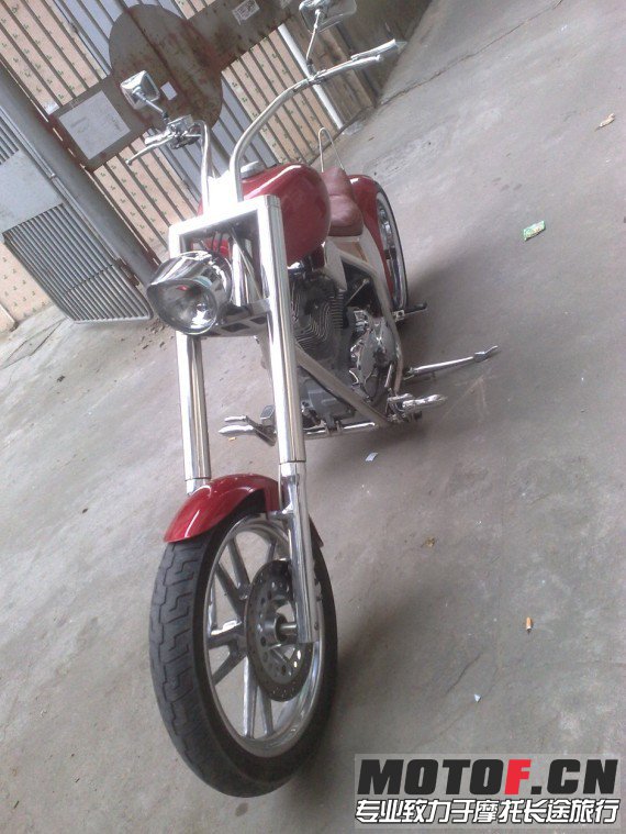 310.jpg