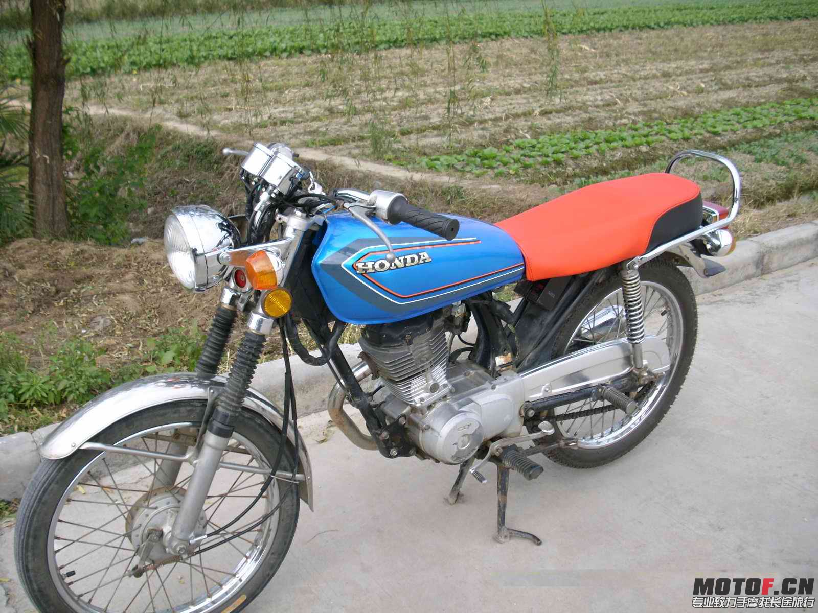 DSCI0898.jpg