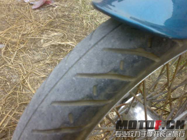 20130116930.jpg