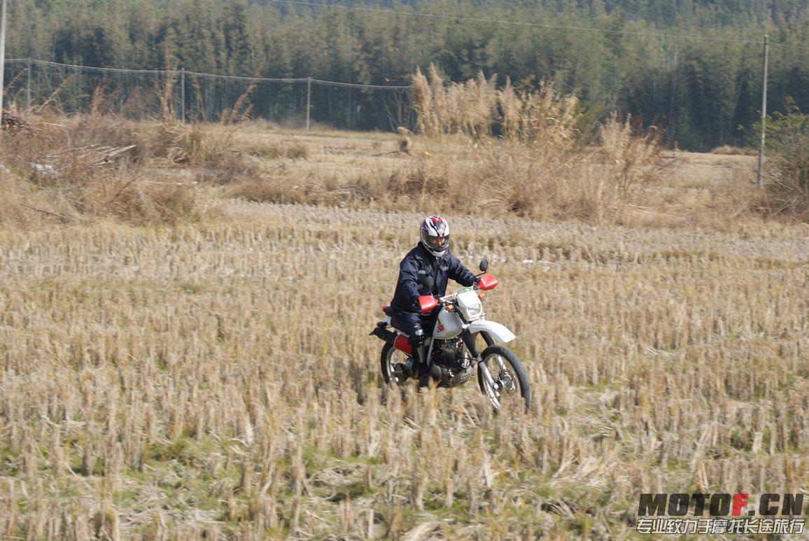 DSC03104_副本.jpg