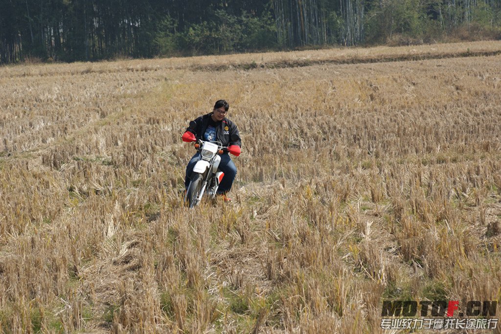 DSC03332_副本.jpg
