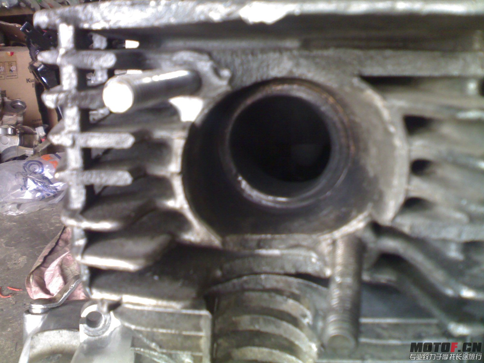 20130106006.jpg