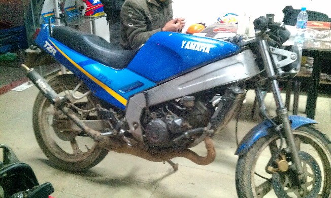 BigBull_IMAG1181.jpg
