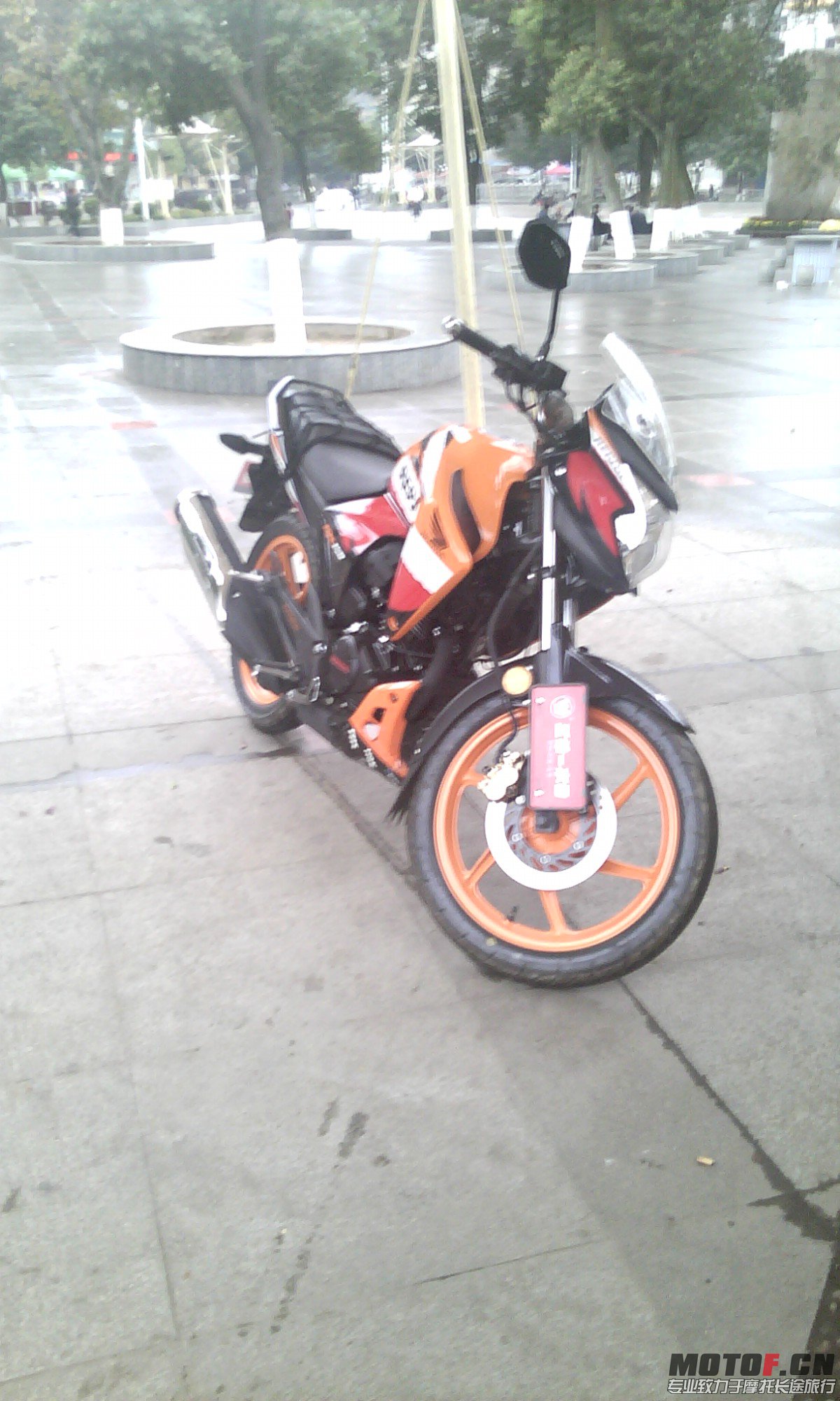 IMG_20130204_164402.jpg