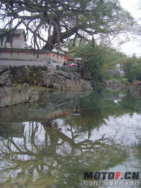 美丽的倒影