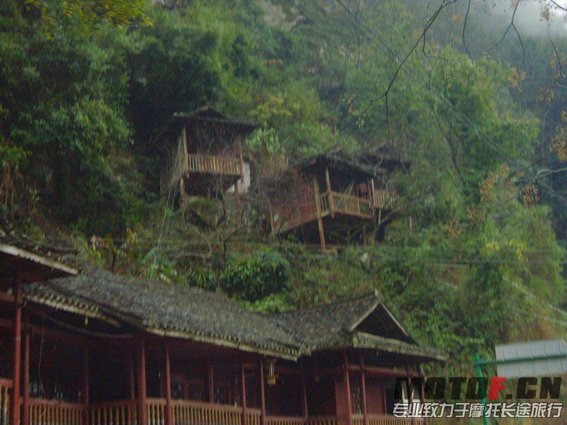 SNV37474.JPG