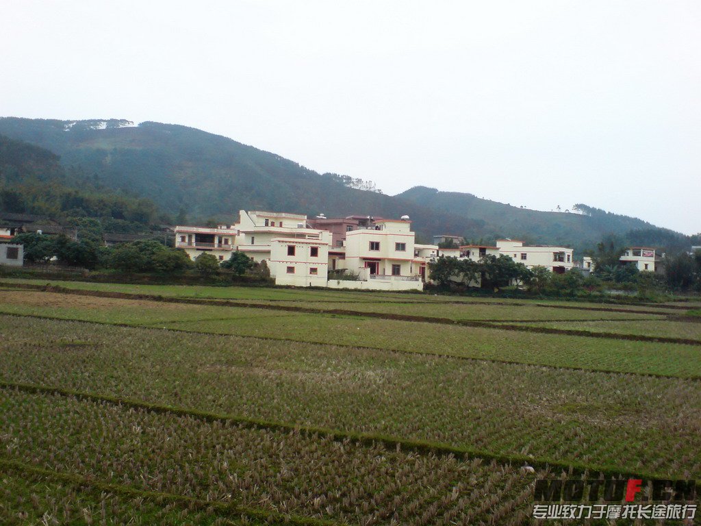 DSC01288.jpg