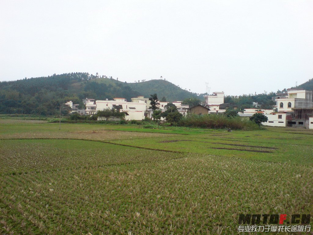 DSC01289.jpg