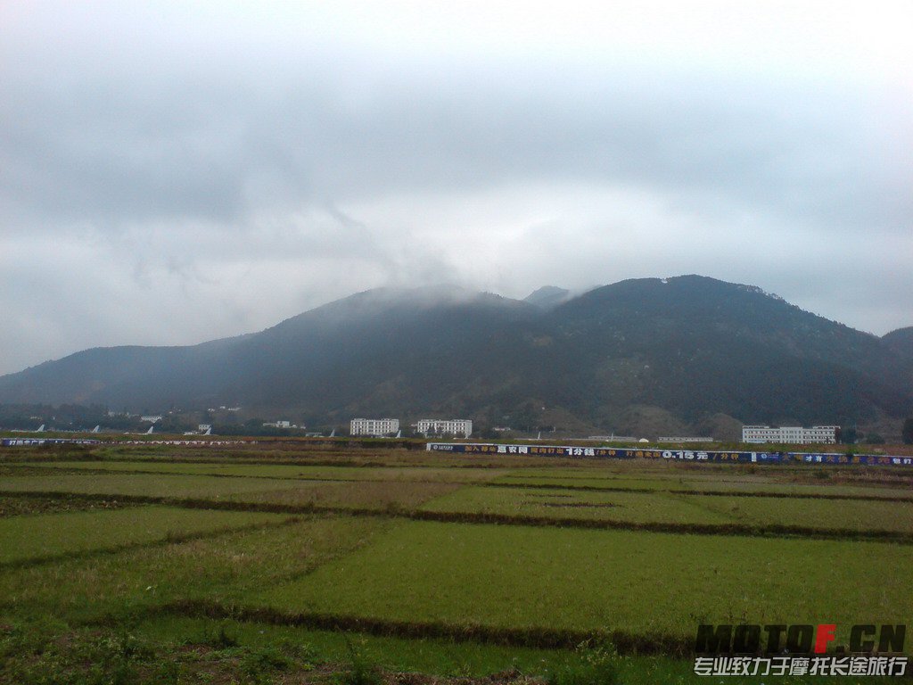 DSC01313.jpg