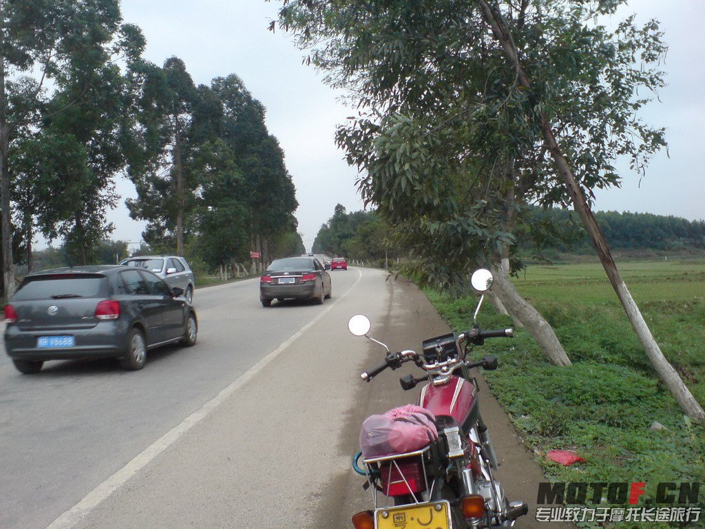 DSC01314.jpg