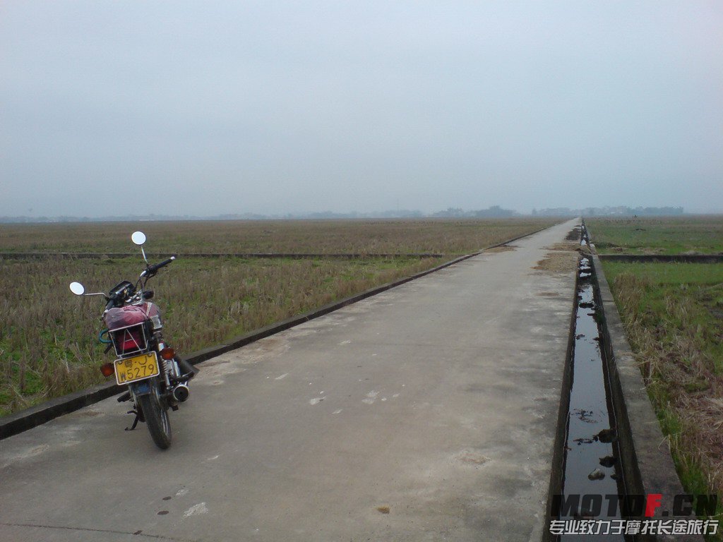 DSC01316.jpg