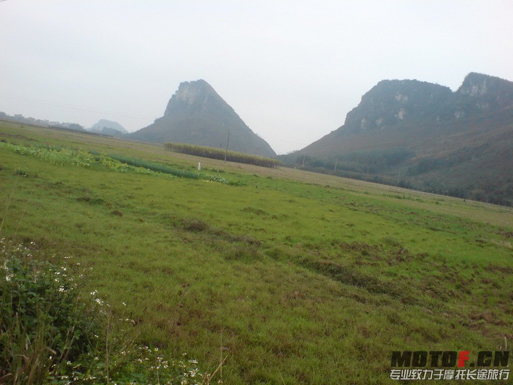 DSC01336.jpg