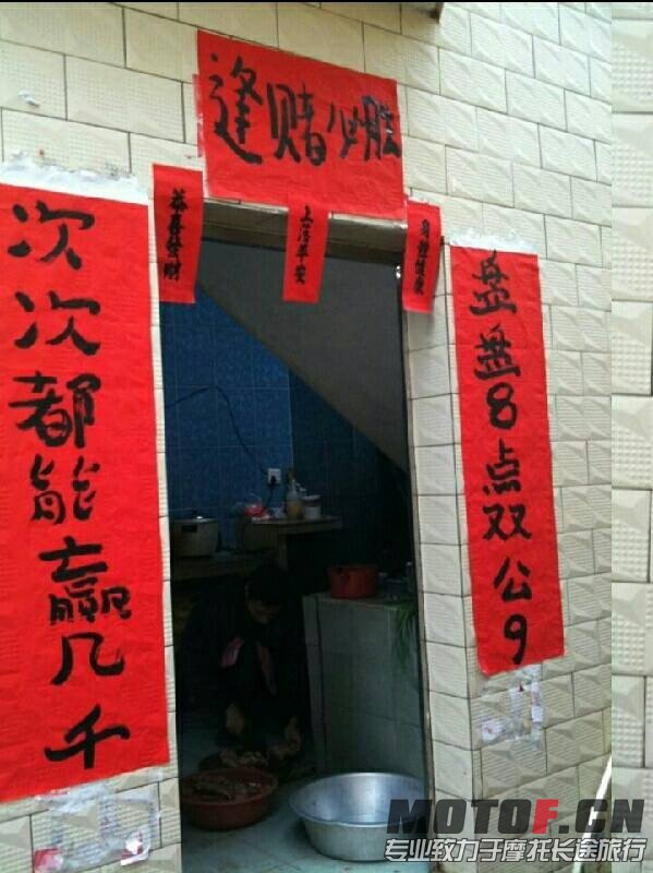 太牛了