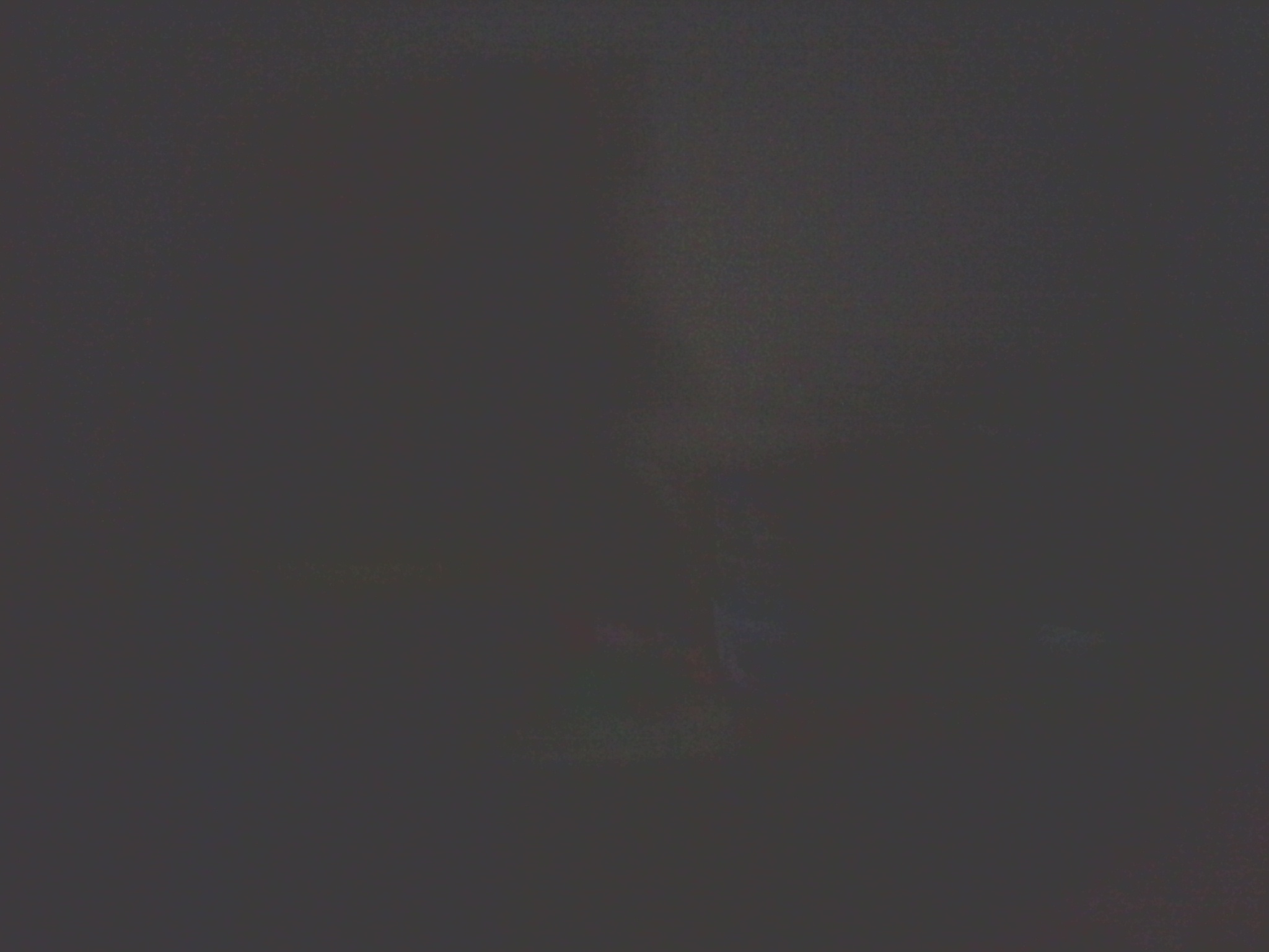 IMG_20130214_181658762.jpg