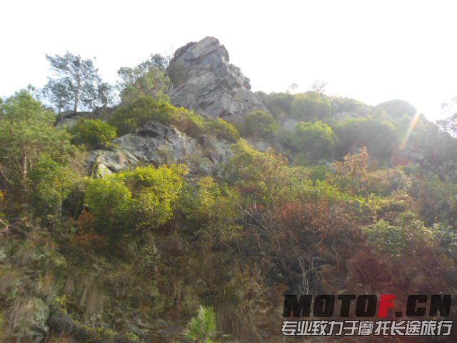 照片 146.jpg