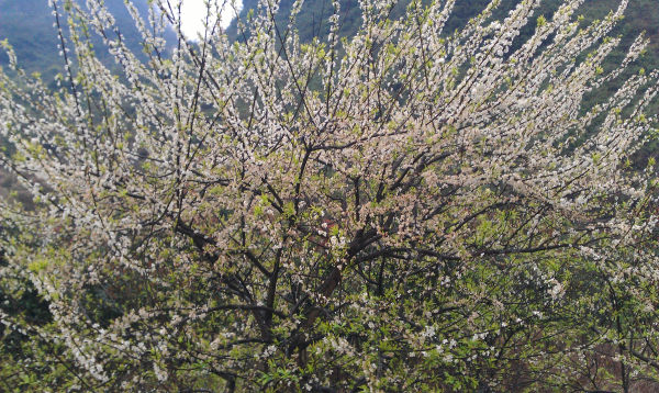 IMAG0589.jpg