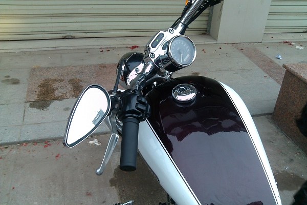 IMG_20130224_165239.jpg