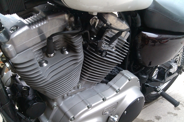 IMG_20130224_165510.jpg