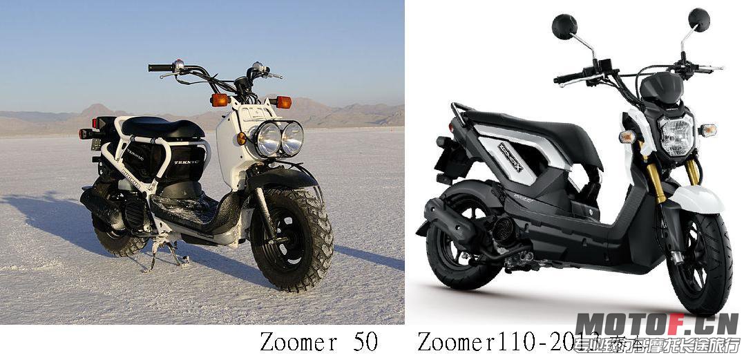 Zoomer 2013.JPG