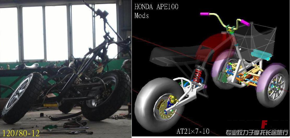 Ape13.JPG