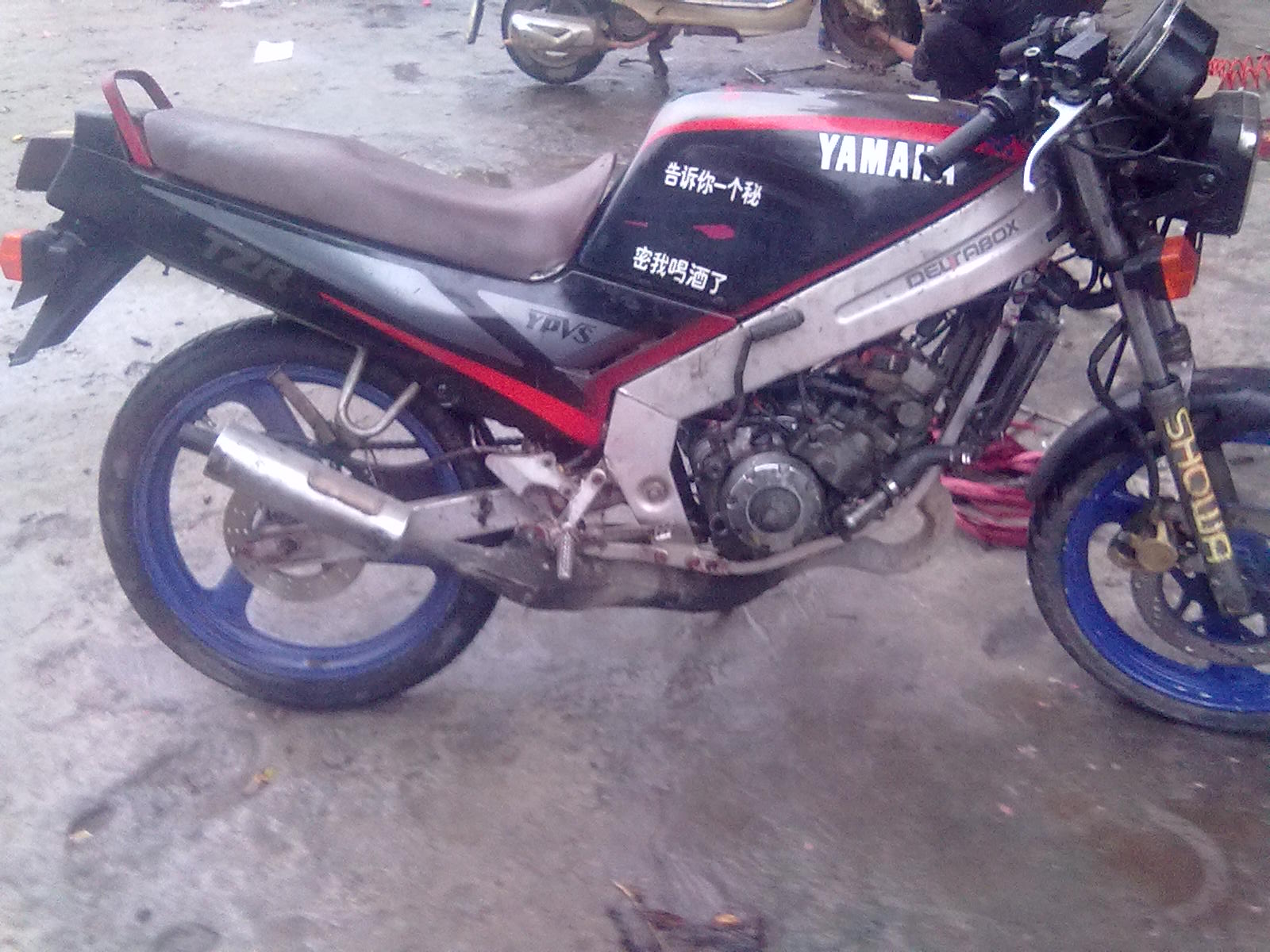 20130301031.jpg